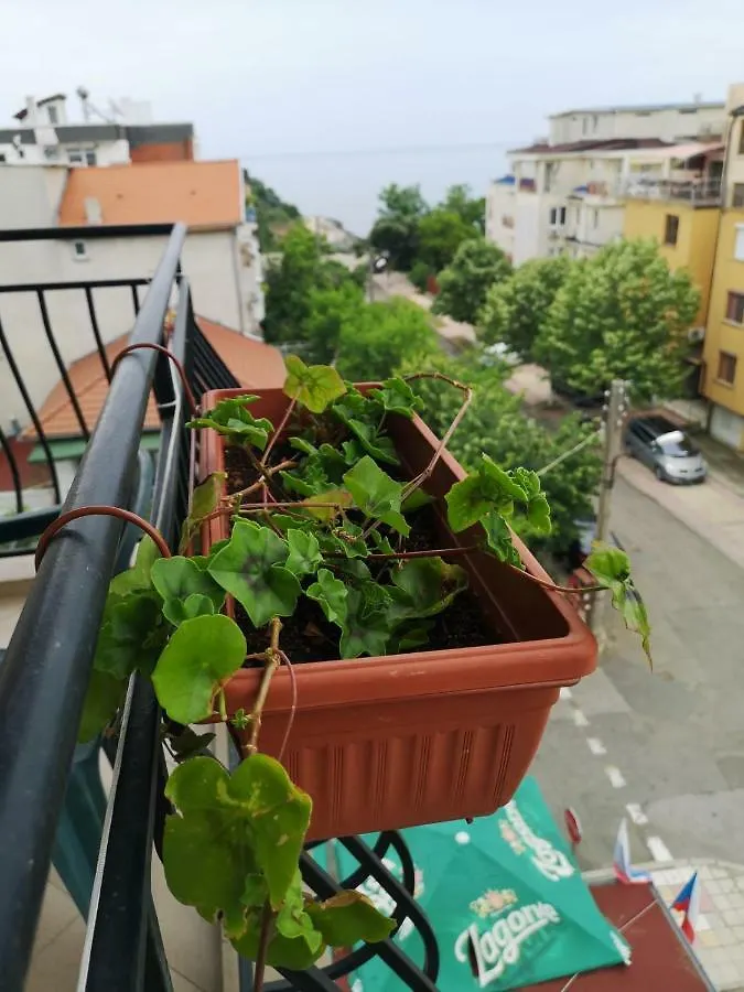 Guest house Kovachevi House Hotel Primorsko